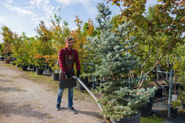 Best Tree Cutting Near Me  in Farngton, MI